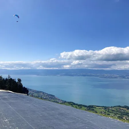 Avec Vue Sur La Montagne A Les Memises 20 M² Thollon-les-Memises