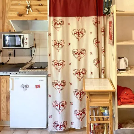 Avec Vue Sur La Montagne A Les Memises 20 M² *
