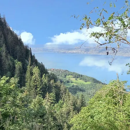Avec Vue Sur La Montagne A Les Memises 20 M²