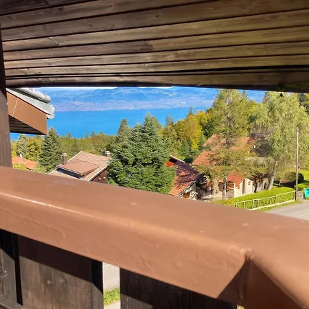 아파트 Chaleureux A - 20 M² Avec Vue 톨롱