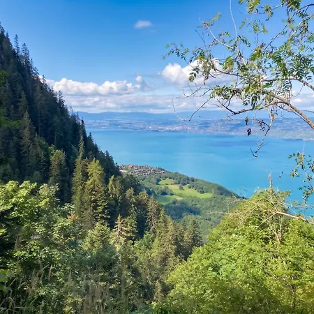 Chaleureux A - 20 M² Avec Vue *
